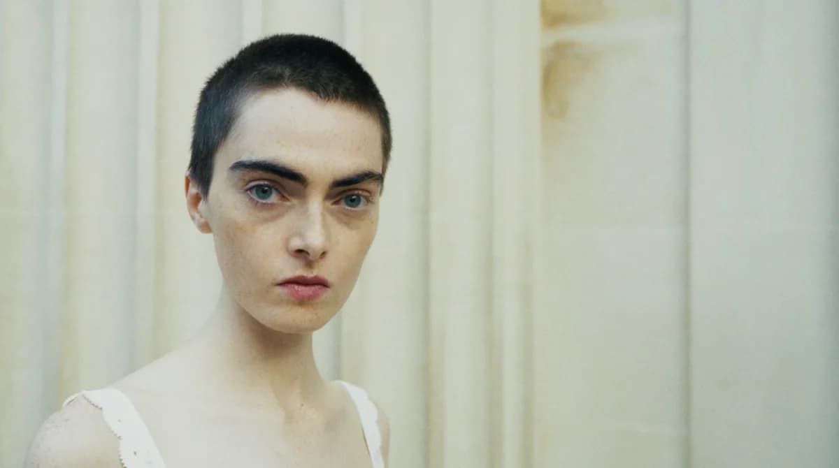 Autumn Winter 26 thumbnail